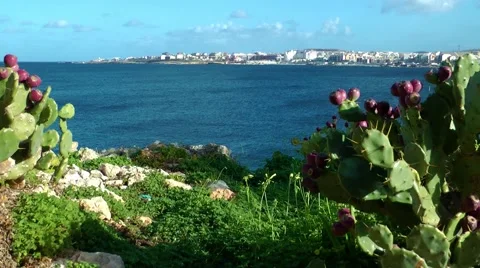 Malta, St. Paul´s Bay Stock Footage 59755171
