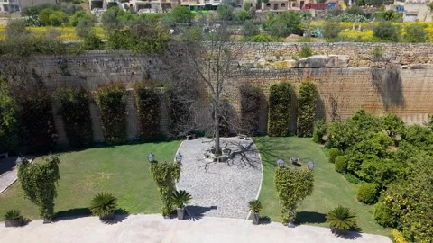 Malta, Tree Orbit Aerial Landscape Nature Stock-Footage 334302085