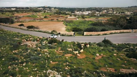 MALTA VIEWS Video stock 133503567