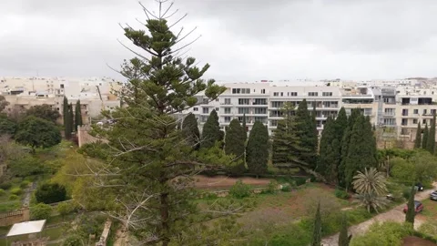 Malta, Villa Tall Tree Helix Drone Shot Garden Spiral Aerial Stock-Footage 333298022