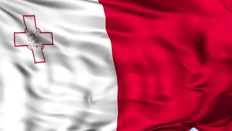 Malta Waving Flag Background Stock Footage 204134541