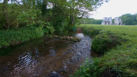 Maltby Dike flows past Roche Abbey Stock Footage 120111092