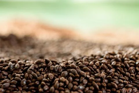 Malted grain close up. Mixed varieties of malted grain on a gray background Stock Photos
