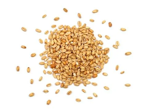 Malted Wheat Grain on a White Background Stock Photos