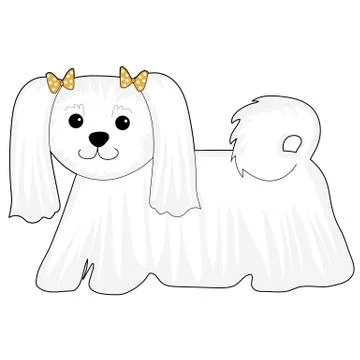 Maltese Dog Stock Illustration
