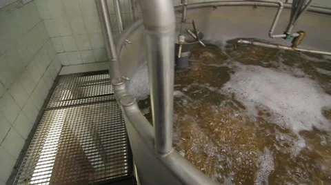 Malting barley Vídeo Stock 49387005