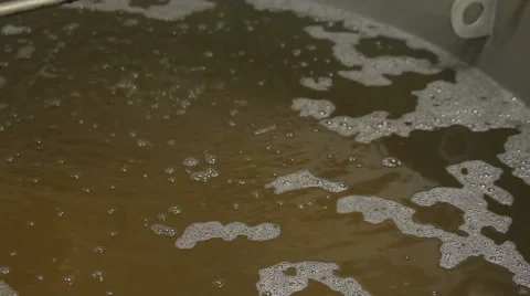 Malting barley Vídeo Stock 49387198