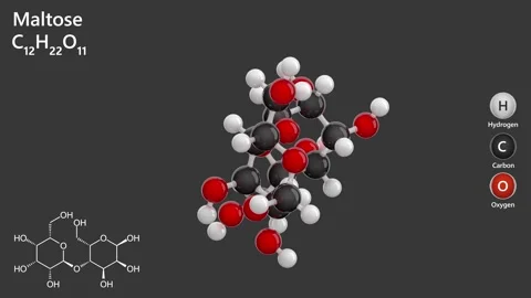 Maltose. Malt sugar. 3D model of a molecule. Gray background. 3D render Stock Footage 289855528