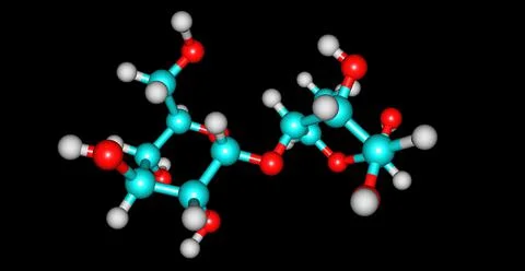 Maltose molecular structure isolated on black Stock Illustration