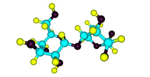 Maltose molecular structure isolated on white Stock Illustration