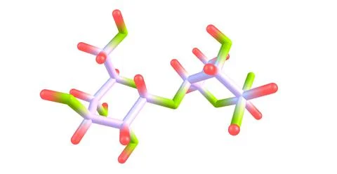 Maltose molecular structure isolated on white Stock Illustration