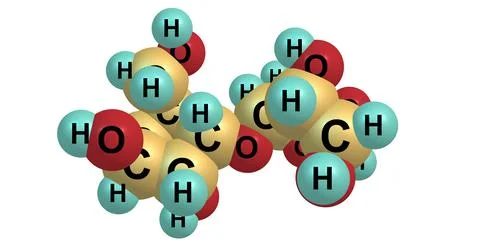 Maltose molecular structure isolated on white Stock Illustration