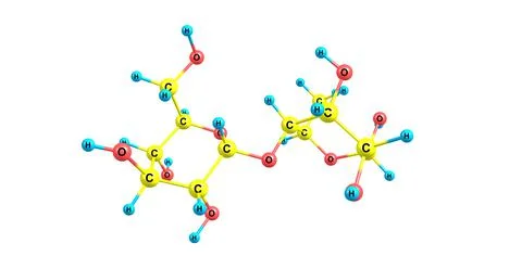Maltose molecular structure isolated on white Stock Illustration