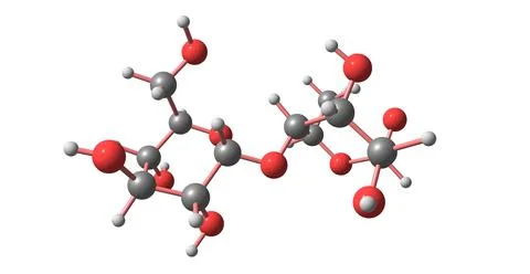 Maltose molecular structure isolated on white Stock Illustration