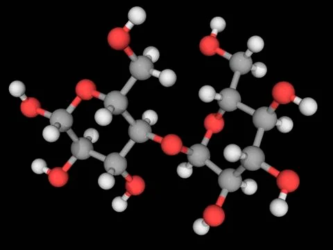 Maltose molecule Stock Illustration
