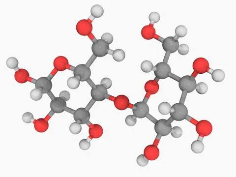 Maltose molecule Stock Illustration