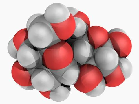 Maltose molecule Stock Illustration