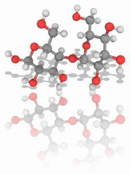 Maltose organic compound molecule Stock Illustration