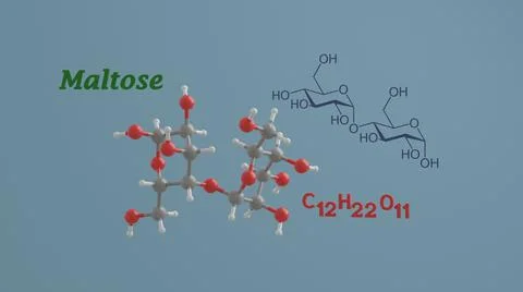 Maltose sugar science molecule 3D render illustration Stock Illustration