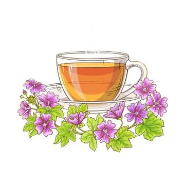 Malva tea illustration Stock Illustration
