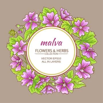 Malva vector frame Illustrazione stock