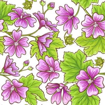 Malva vector frame Stock Illustration