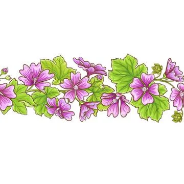 Malva vector frame Stock Illustration