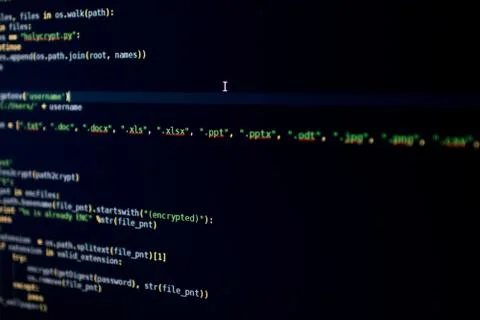 Malware source code encrypt specific type of files, list of the extension. Ma 스톡 사진