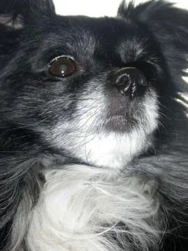 Malysh' View Stock Photos