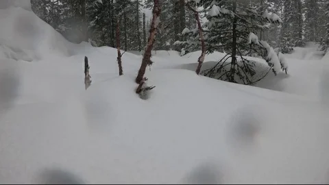 Mamay snowfall (timelapase) Stock Footage