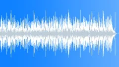 Mambo, Music for Inviting Streamed On Demand Nature Documentaries Programs Stock Music