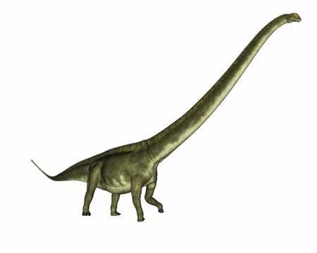 Mamenchisaurus dinosaur - 3D render Stock Illustration