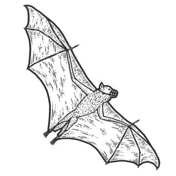 Mammal, microbat in the muzzle. Coronavirus protection. Sketch scratch board Illustrazione stock