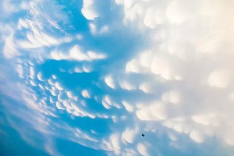 Mammatus Clouds: Breathtaking Cellular Pattern Underneath Cumulonimbus Rain.. Stock Photos