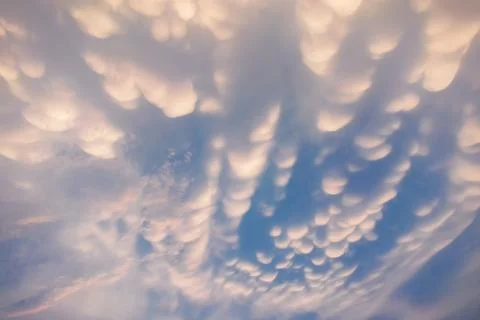Mammatus Clouds: Breathtaking Cellular Pattern Underneath Cumulonimbus Rain.. Stock Photos