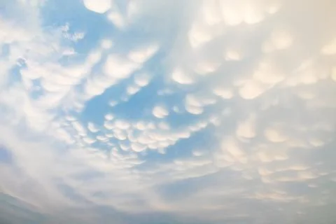 Mammatus Clouds: Breathtaking Cellular Pattern Underneath Cumulonimbus Rain.. Stock Photos