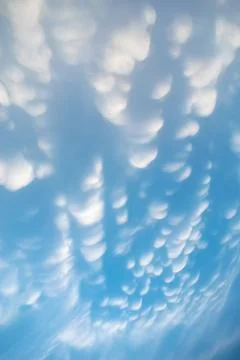 Mammatus Clouds: Breathtaking Cellular Pattern Underneath Cumulonimbus Rain.. Stock Photos