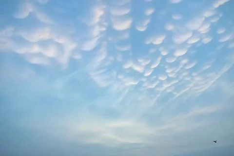 Mammatus Clouds: Breathtaking Cellular Pattern Underneath Cumulonimbus Rain.. Stock Photos