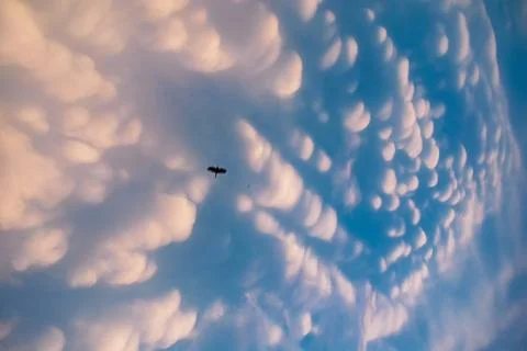 Mammatus Clouds: Breathtaking Cellular Pattern Underneath Cumulonimbus Rain.. Stock Photos