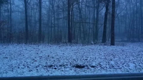 Mammoth Cave Blizzard as Seen Through the Trees Stock Footage 10608523