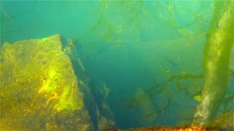 Mammoth Cave Echo Spring 2 HD Stock Footage 10796741