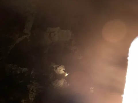 Mammoth cave Stock Photos