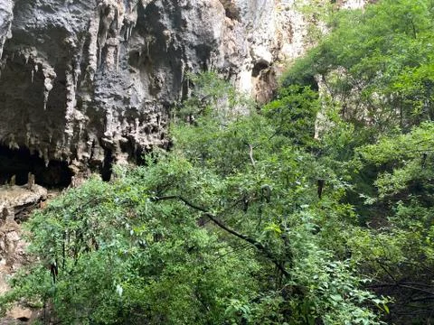 Mammoth cave Stock Photos