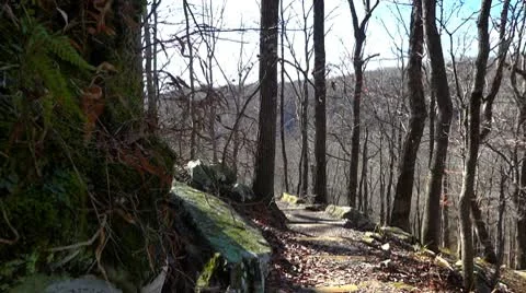 Mammoth Cave Trail Fall Stock Footage 10713267