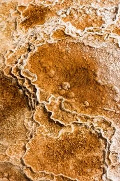 Mammoth Hot Springs Foto stock