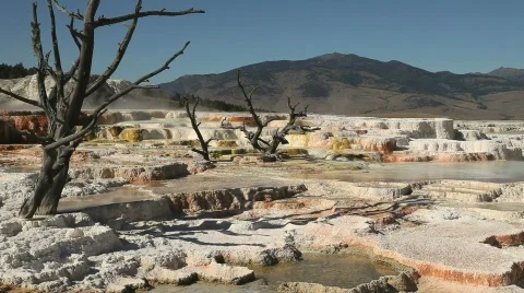 Mammoth Hot Springs Terraces Stock Footage