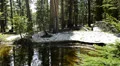 Mammoth Lakes LM30 Reflections Forest Sierra Nevada Mts California HD Footage
