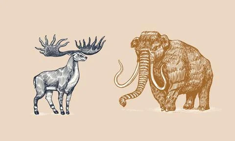 Mammoth or extinct elephant and Irish elk or Giant deer or Great Horn. Trunked Stock Illustration