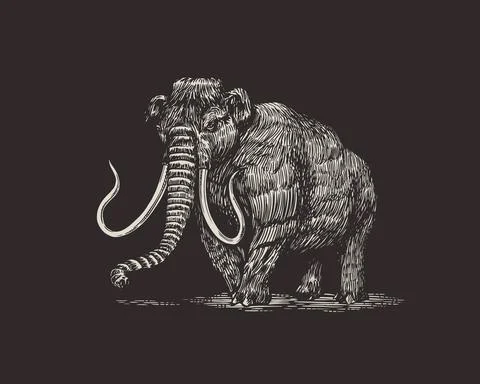 Mammoth or extinct elephant. Trunked mammals or proboscideans. Large animal Stock Illustration