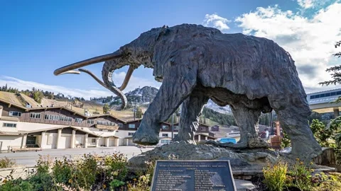 Mammoth sculpture Stock Footage 130230306